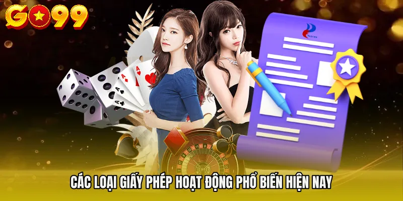 giấy phép hoạt động 2 Các loại giấy phép hoạt động phổ biến hiện nay